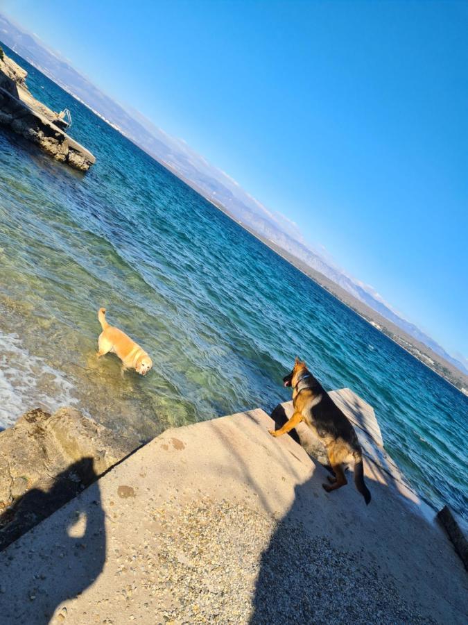 Villa Carpe Diem Vantacici Εξωτερικό φωτογραφία