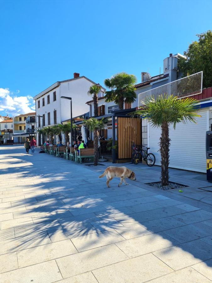 Villa Carpe Diem Vantacici Εξωτερικό φωτογραφία