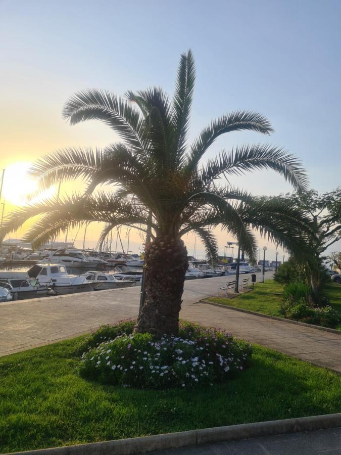 Villa Carpe Diem Vantacici Εξωτερικό φωτογραφία