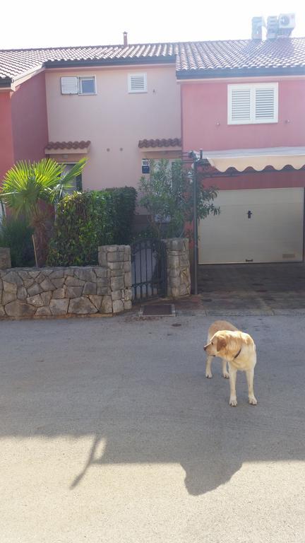 Villa Carpe Diem Vantacici Εξωτερικό φωτογραφία